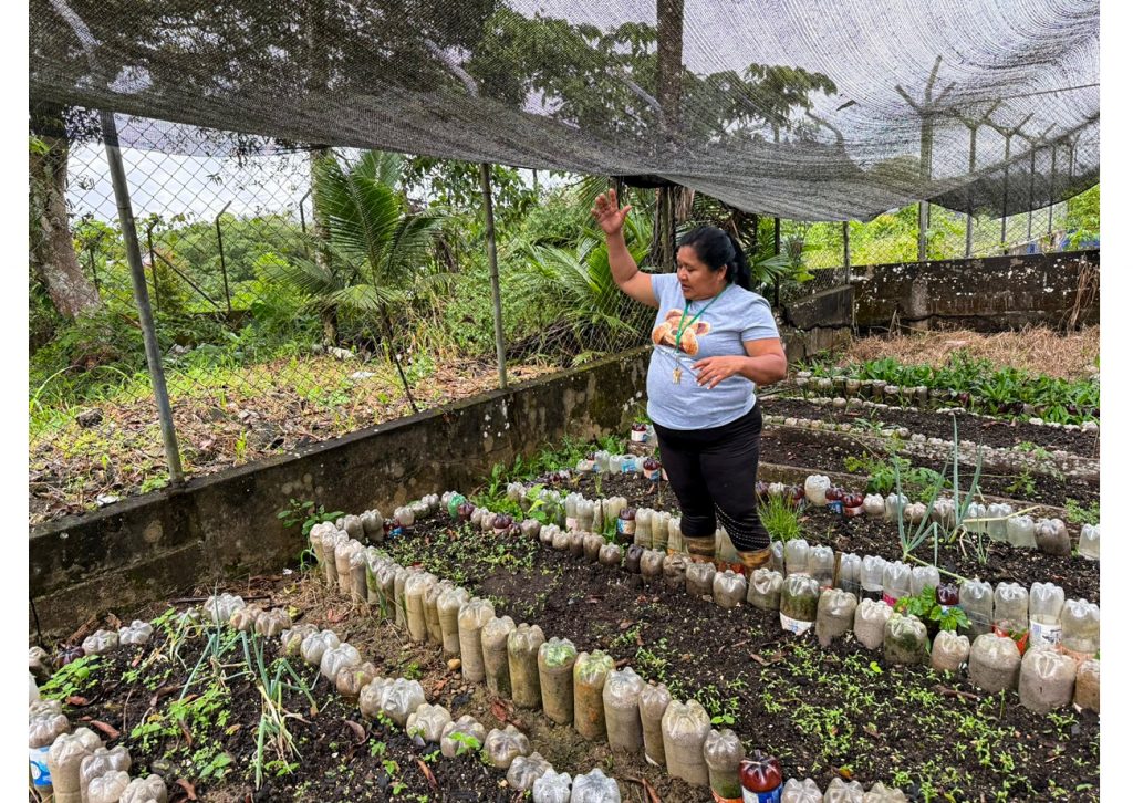Estudiantes de Curillo fortalecen su conciencia ambiental con jornada práctica