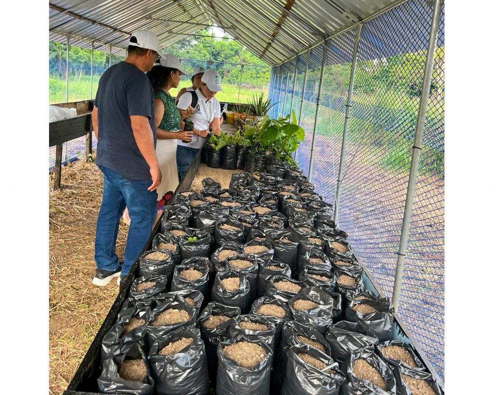 VISITA DE SEGUIMIENTO AL CLUB DEFENSOR DEL AGUA EN LA INSTITUCIÓN EDUCATIVA CAMPO ELÍAS MARULANDA, SOLANO – CAQUETÁ